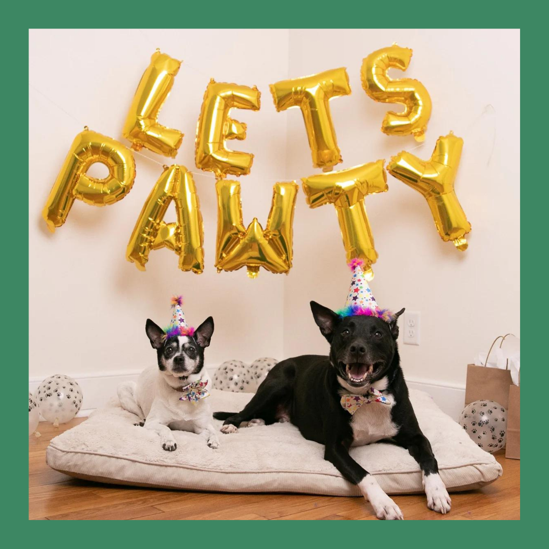 Party Hat Superstars S