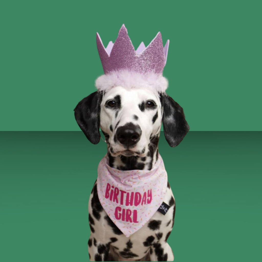 Party Crown Purple L