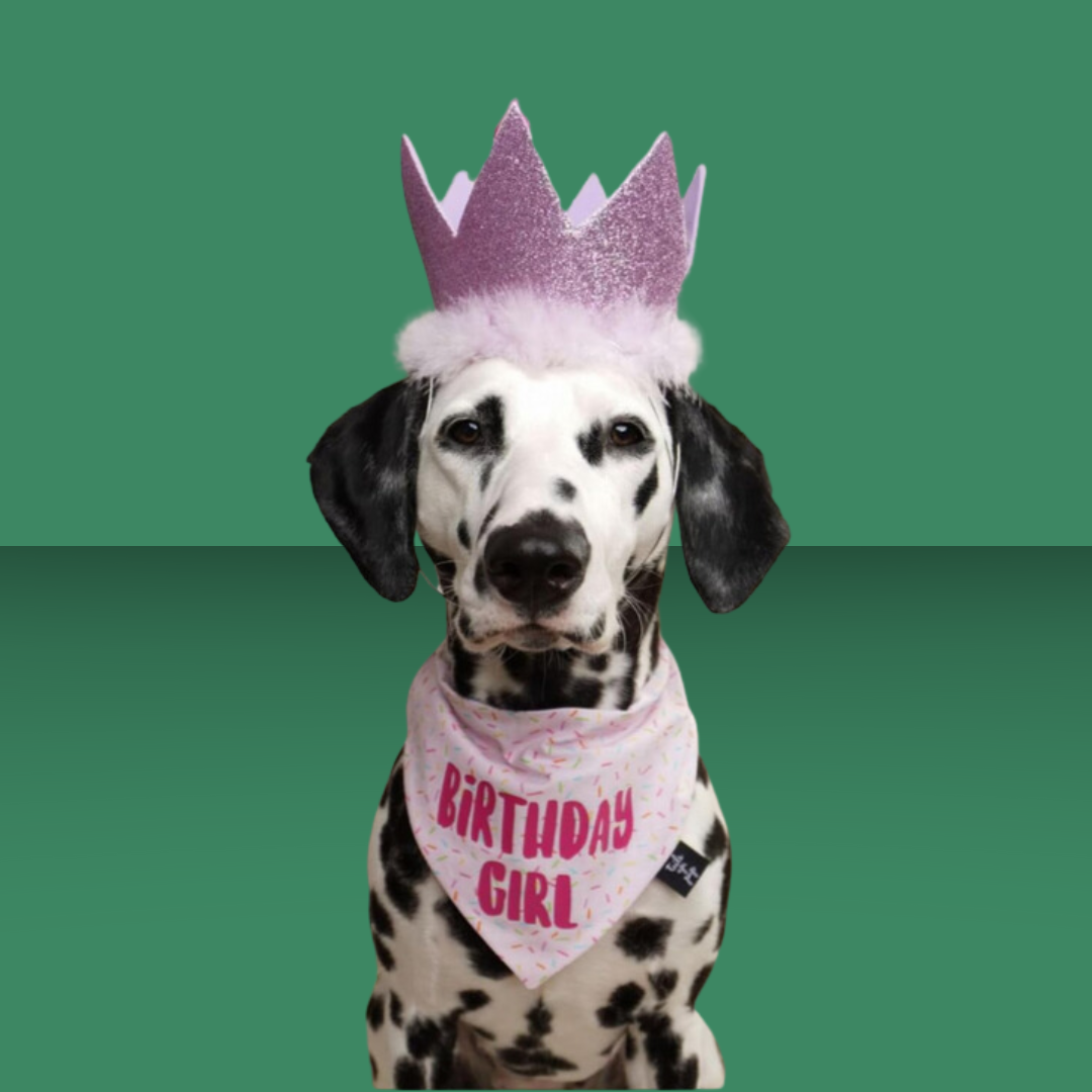 Party Crown Purple L