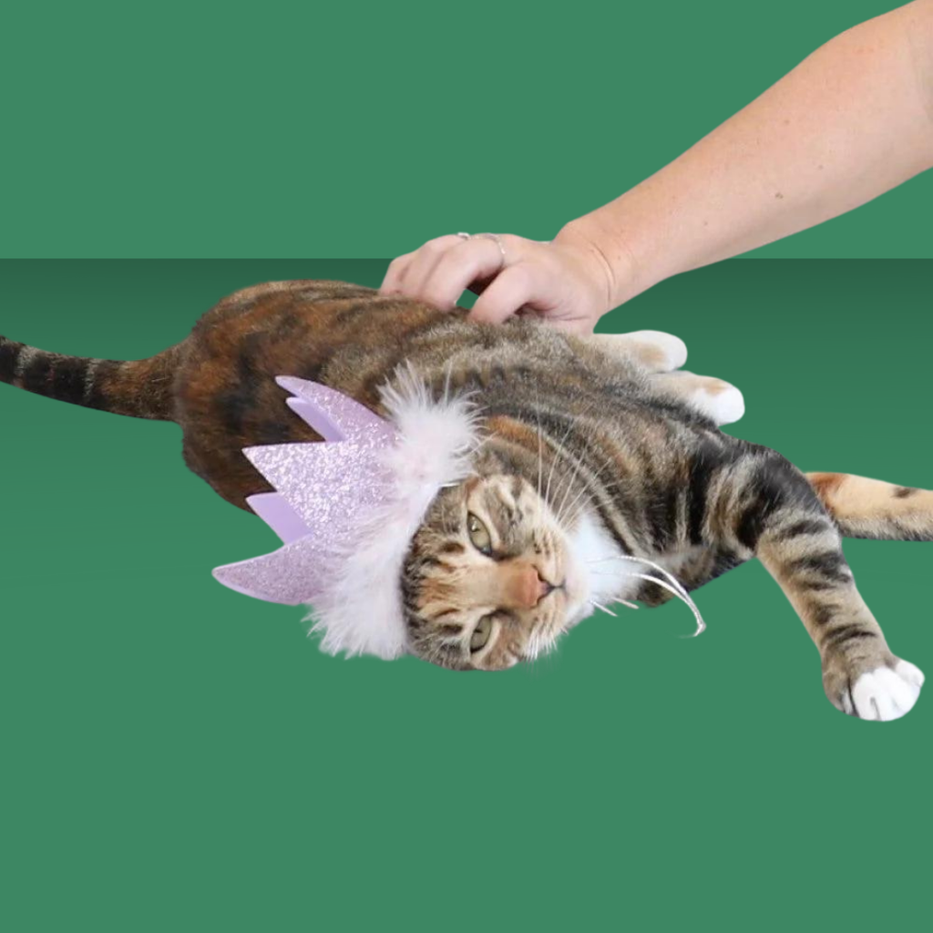 Party Crown Purple L