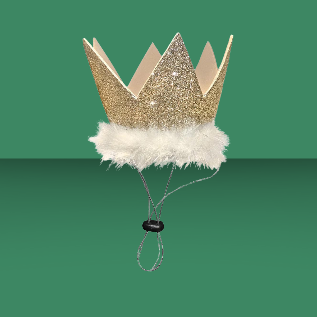 Party Crown Gold L
