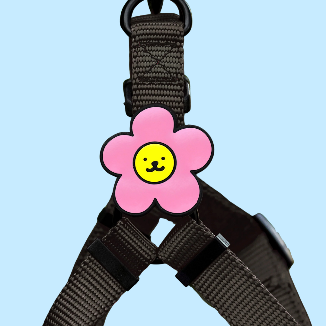 Dog Jiby Daisy - Pink