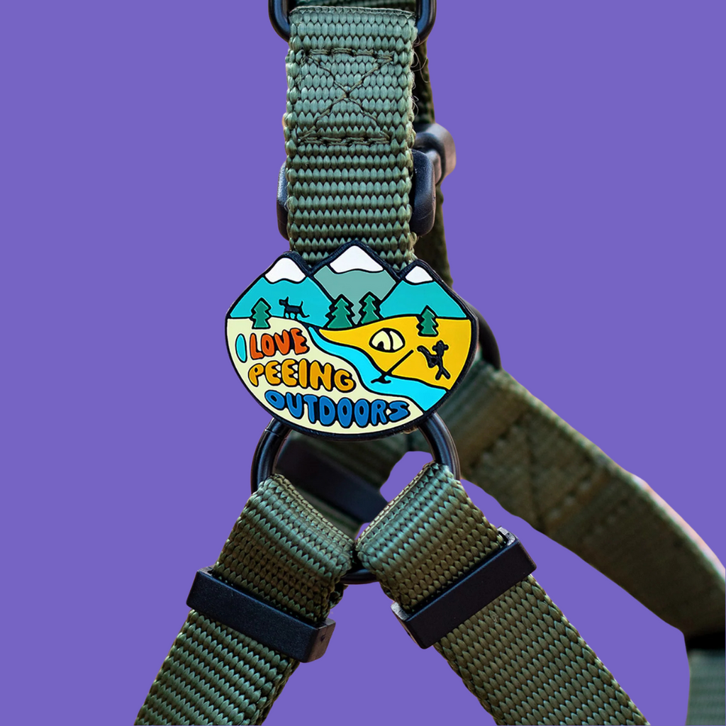 Dog Jiby Peeing Outdoors