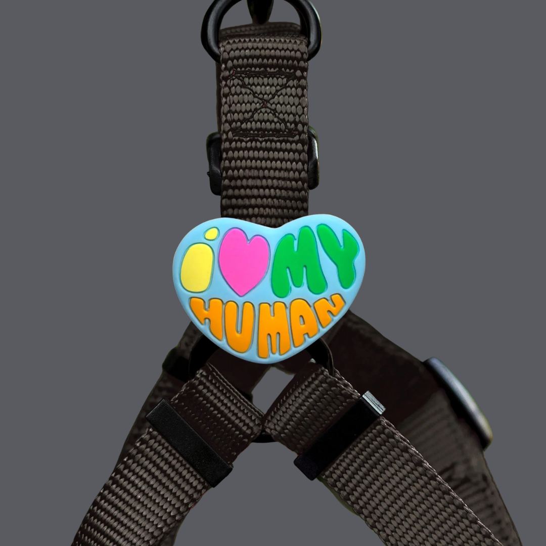 Dog Jiby I Love My Human