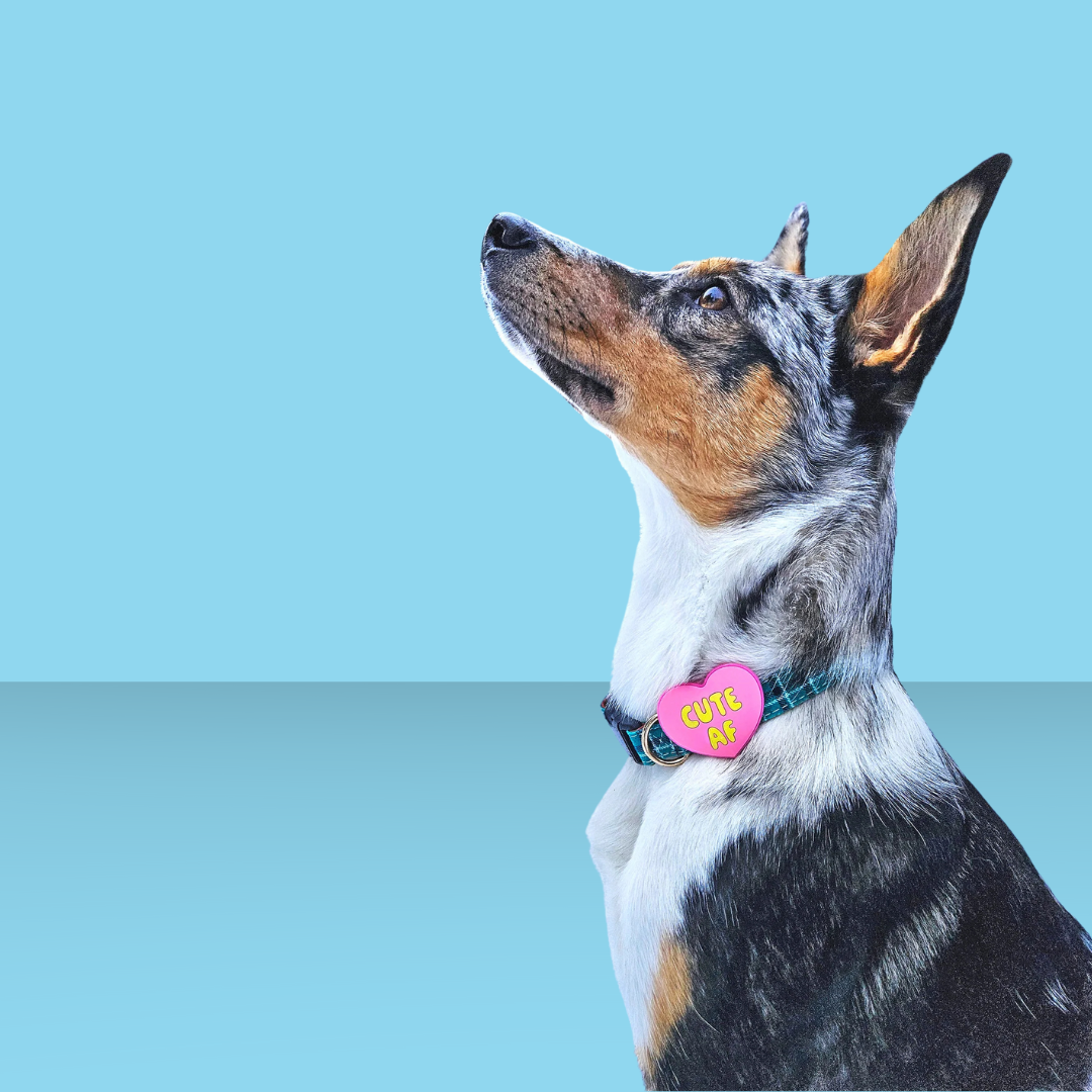 Dog Jiby Cute AF Pink