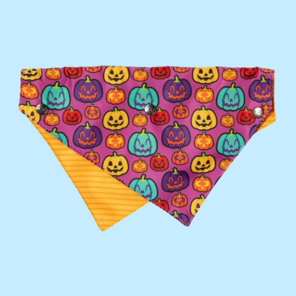 FuzzYard Bandana Oh My Gourd! M/L