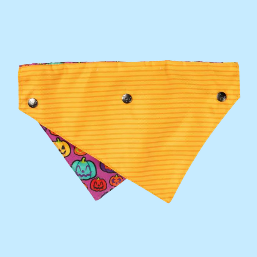FuzzYard Bandana Oh My Gourd! M/L