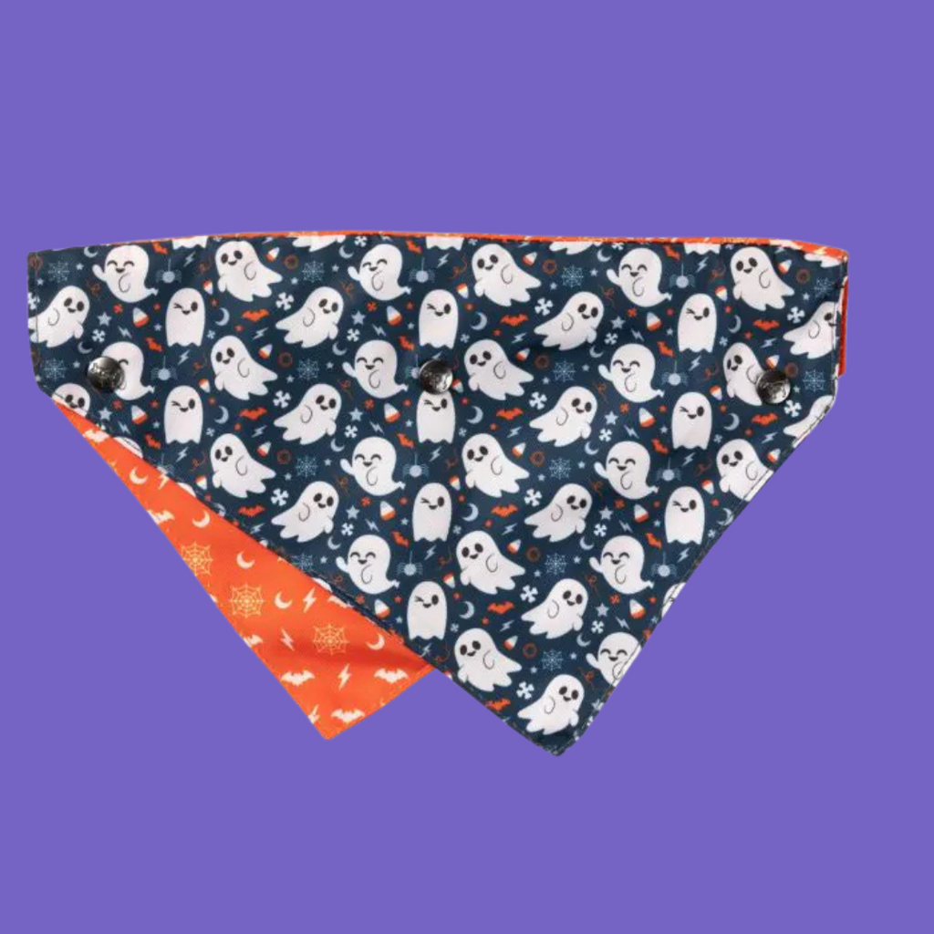 FuzzYard Bandana That's the Spirit S/M