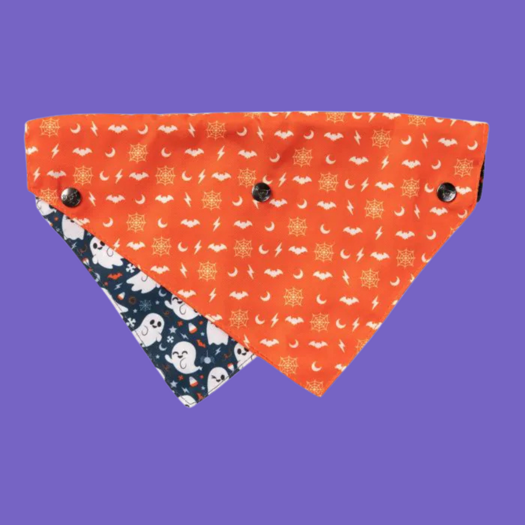 FuzzYard Bandana That's the Spirit S/M