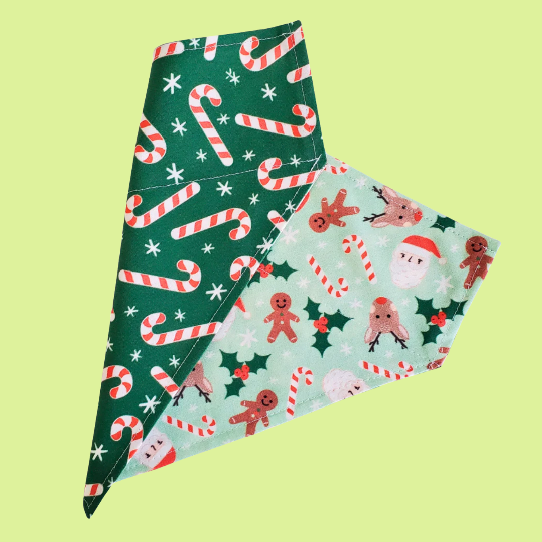 Reversible Bandana Mint Christmas S