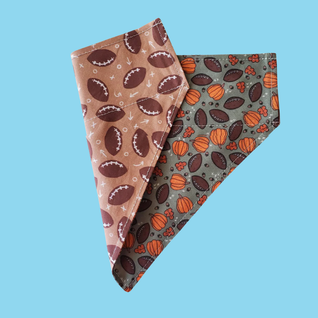 Reversible Bandana Fall Football L