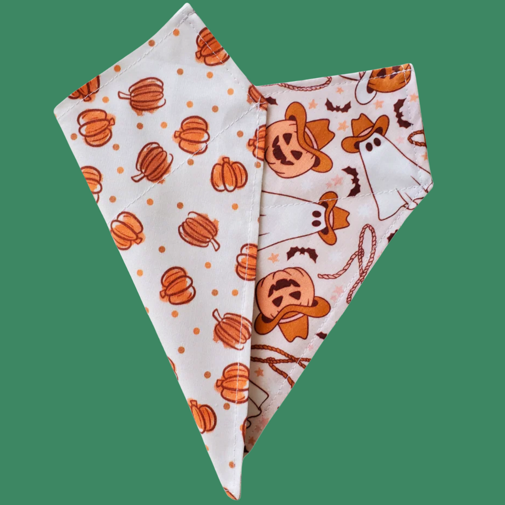 Reversible Bandana Cowboy Ghost M