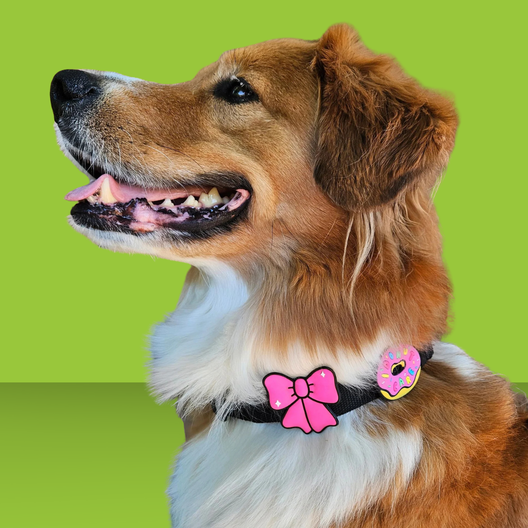 Dog Jiby Ribbon Pink