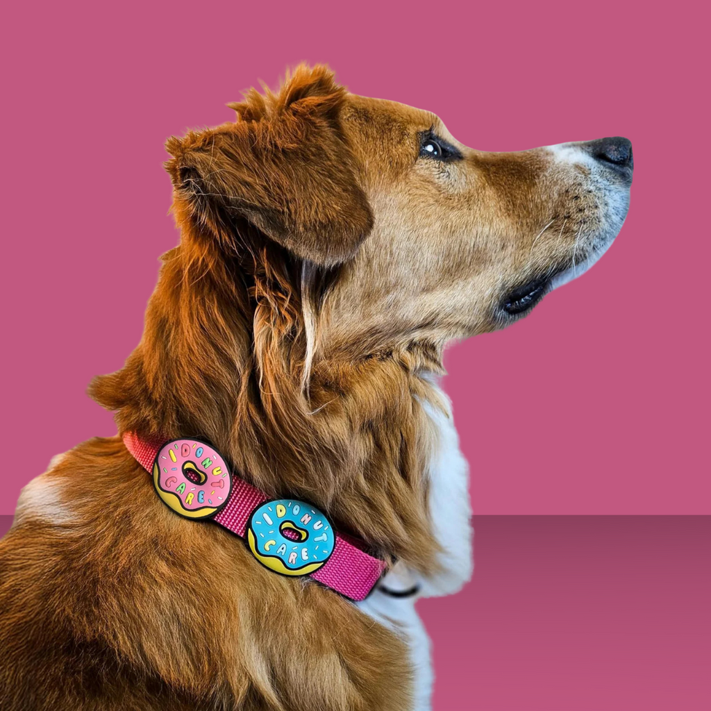 Dog Jiby I Donut Care Mint