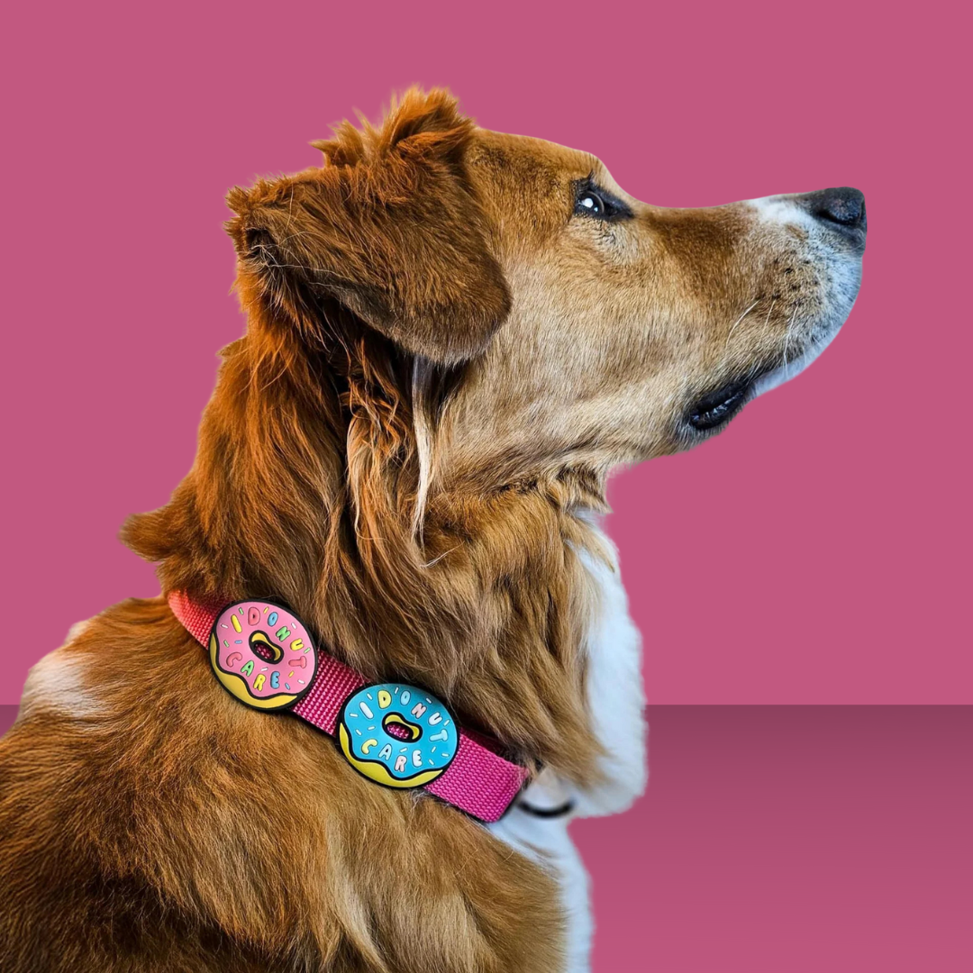 Dog Jiby I Donut Care Mint