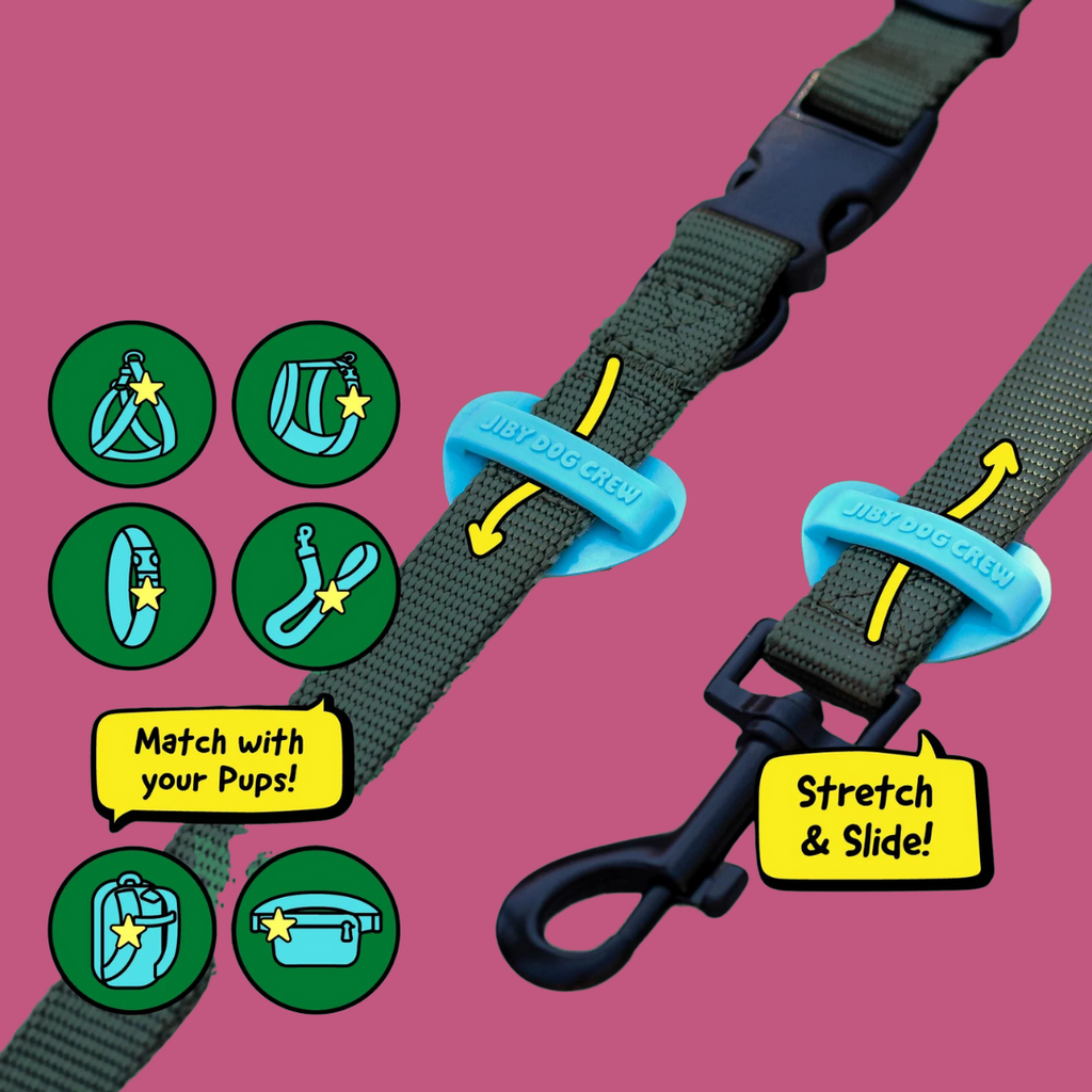 Dog Jiby I Donut Care Mint