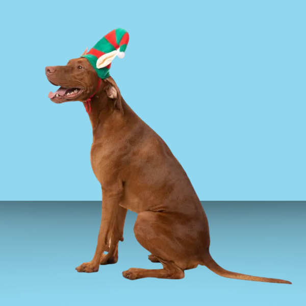 Fuzzyard Elf Hat S/M