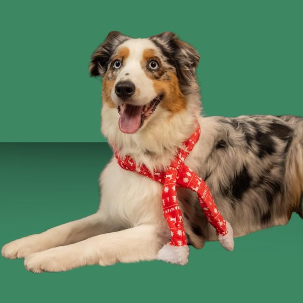 Scarf Red Fairisle S