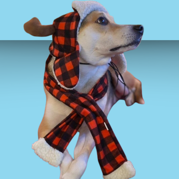 Scarf Buffalo Check S