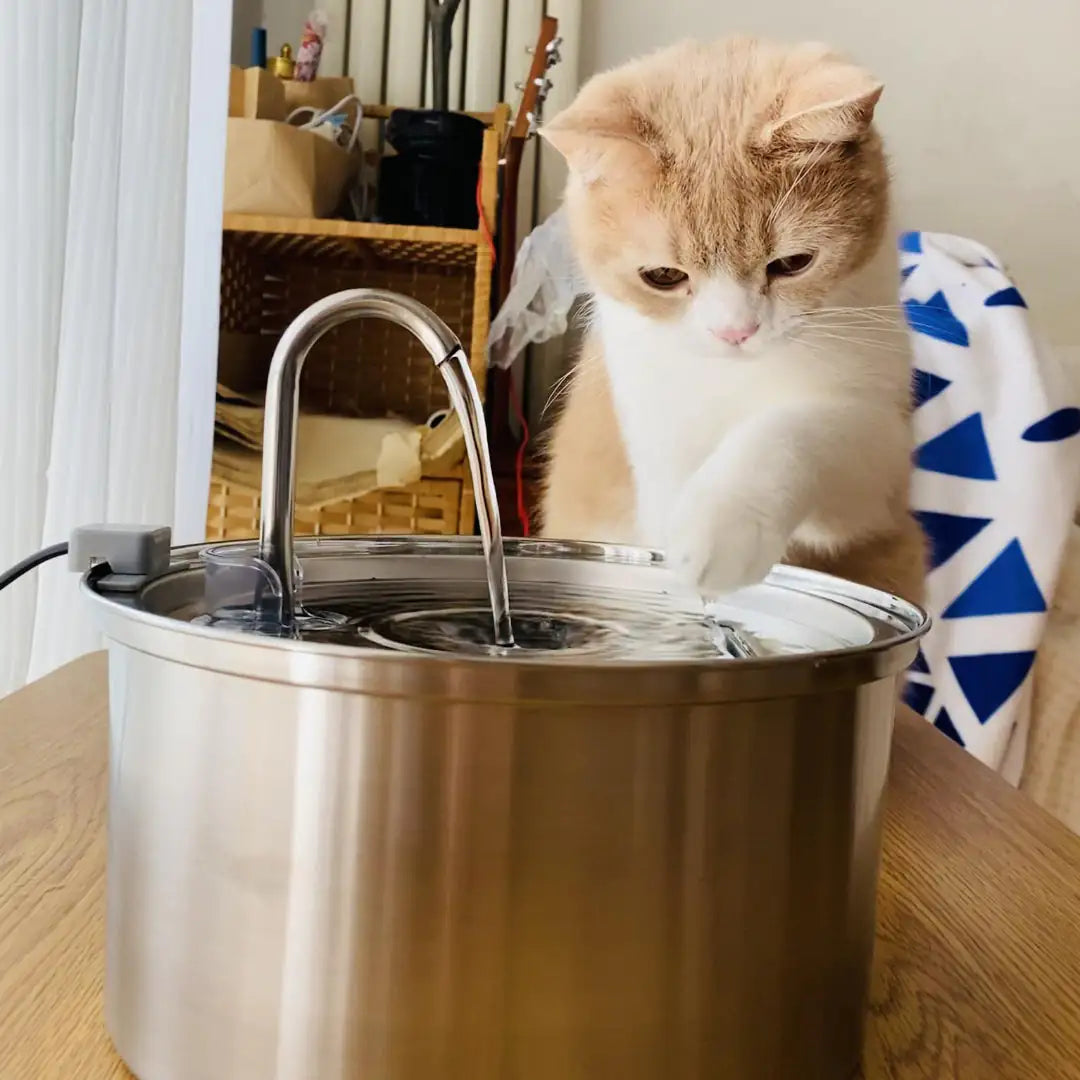 Cat Stainless Steel Water Fountain