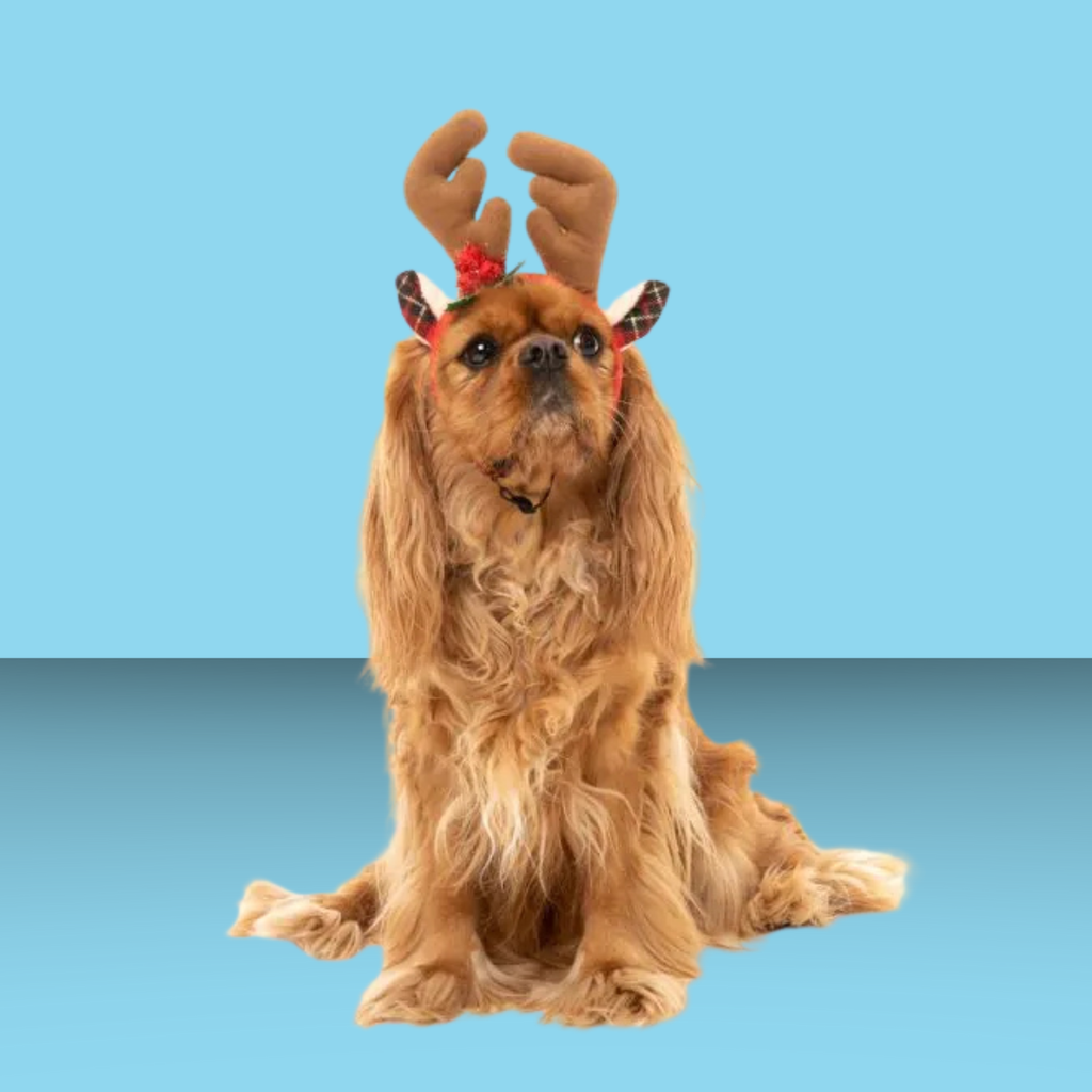 Fuzzyard Reindeer Antlers S/M