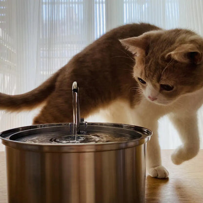 Cat Stainless Steel Water Fountain