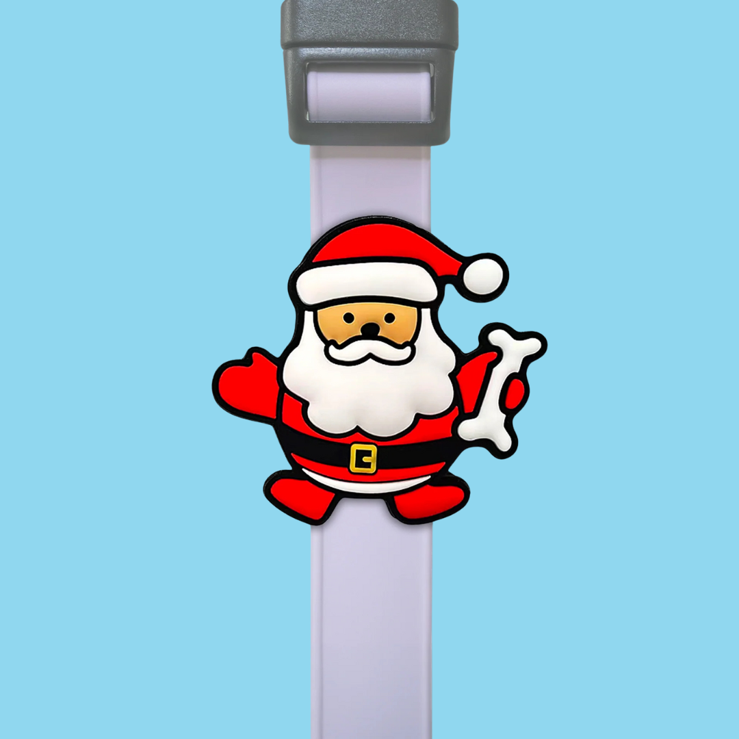 Dog Jiby Santa Claus